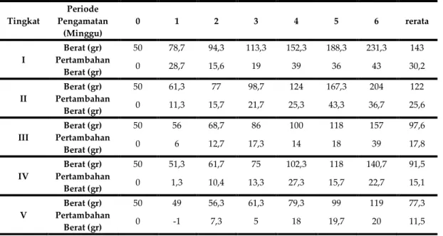 Tabel 1. Berat Rata - Rata Rumput Laut Tiap Tingkatan  Tingkat  Periode  Pengamatan  (Minggu)  0  1  2  3  4  5  6  rerata  Berat (gr)  50  78,7  94,3  113,3  152,3  188,3  231,3  143  I  Pertambahan  Berat (gr)  0  28,7  15,6  19  39  36  43  30,2  Berat 