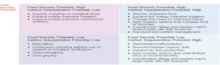Table 4. Relation between mitigation and food security 