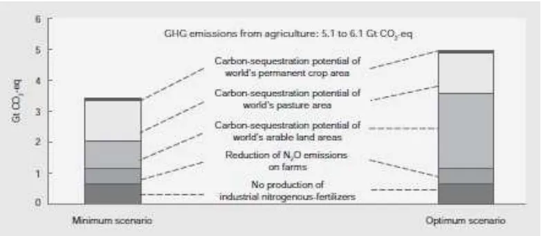 Figure 6. Carbon sequestration from 2 different agricultural practice. 