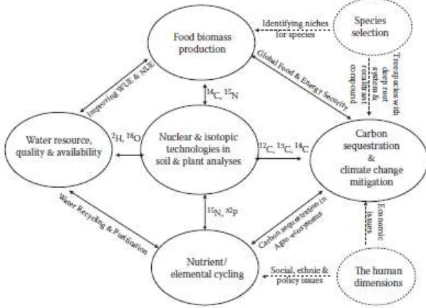 FIGURE 8. The role of isotopic techniques in addressing global issues of carbon 