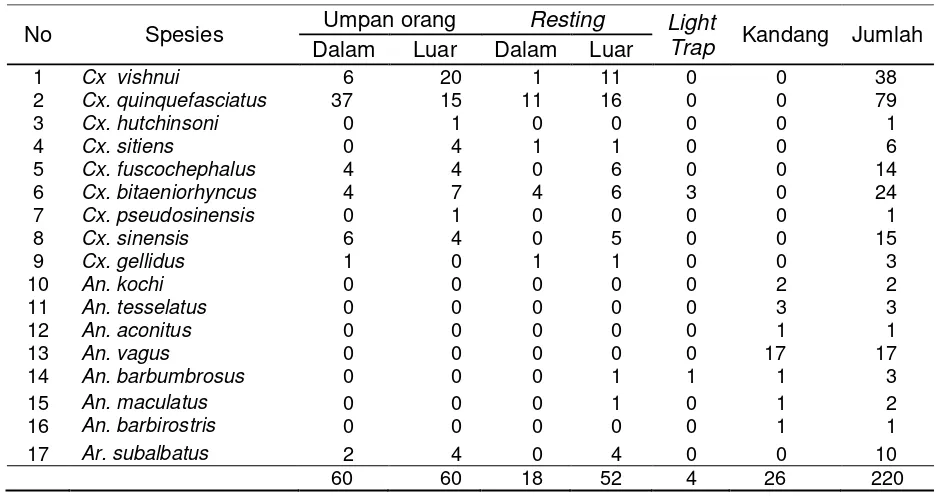 Tabel 5. Perilaku Mengigit Spesies Nyamuk Dewasa yang Tertangkap dengan                  Umpan Orang di Desa Tanjung Kemala Barat tahun 2013 