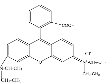 Gambar 5. Struktur Rhodamin B42 