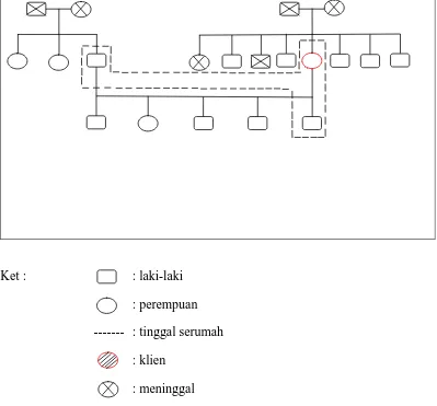 Tabel 8. genogram 