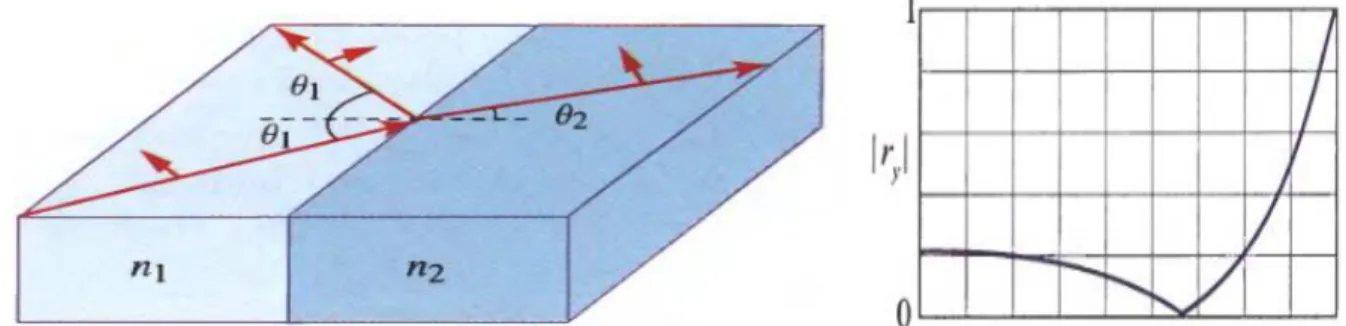 Gambar 2. Contoh magnitudo dan phase dari koefisien refleksi (r y ) sebagai fungsi dari sudut datang dari  gelombang yang telah terpolarisasi pada mode TM dengan n 2 /n 1 =1,5 (Saleh &amp; Teich 2007).