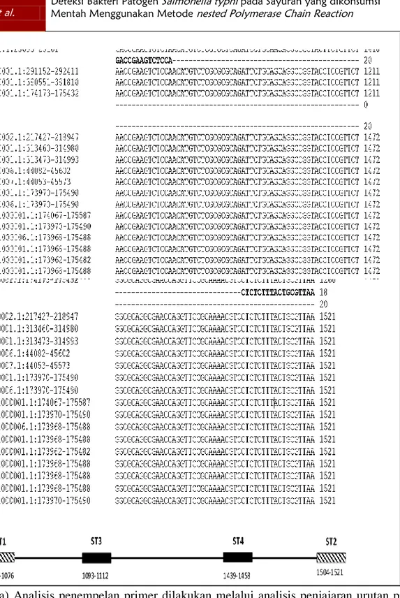Gambar  2.  (a)  Analisis  penempelan  primer  dilakukan  melalui  analisis  penjajaran  urutan  primer  terhadap  sekuen  gen  flagelin  Salmonella  galur  Indonesia  (diperoleh  dari  NCBI)  menggunakan program  CLUSTAL O  (1.2.4) multiple sequence  alig
