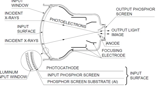Gambar 2. Skema sebuah image intensifier [4] 