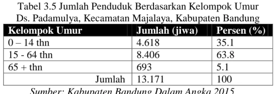Tabel 3.5 Jumlah Penduduk Berdasarkan Kelompok Umur  Ds. Padamulya, Kecamatan Majalaya, Kabupaten Bandung  Kelompok Umur  Jumlah (jiwa)  Persen (%) 