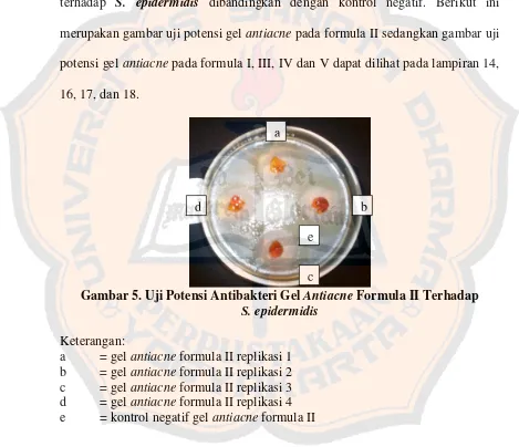 Gambar 5. Uji Potensi Antibakteri Gel Antiacne Formula II Terhadap