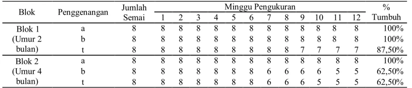 Tabel 18.  Persentase tumbuh semai pedada selama periode pengamatan  Blok  Penggenangan  Jumlah 