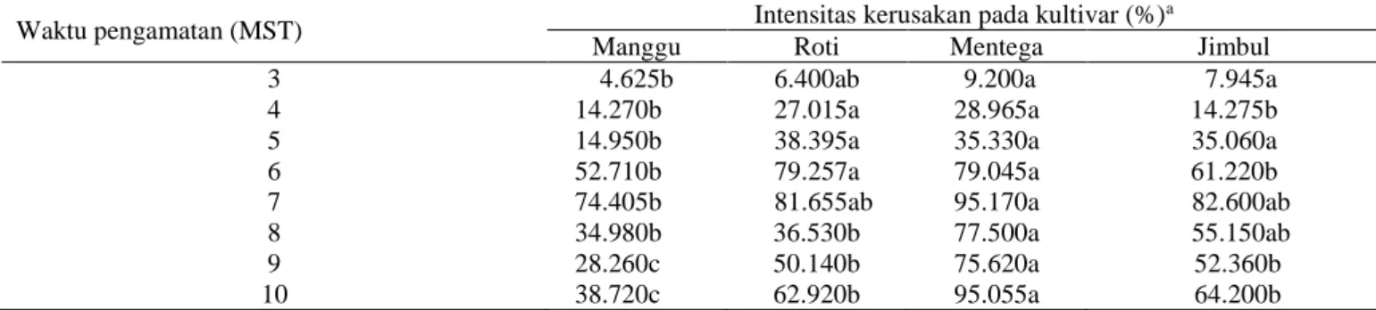 Tabel 2  Intensitas kerusakan oleh T. kanzawai pada keempat varietas ubi kayu 