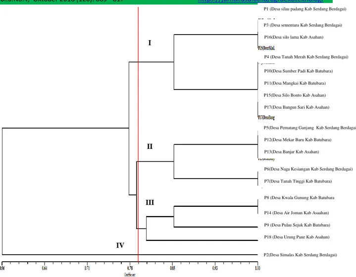 Gambar  2.Dendogram  analisis  UPGMA  18  aksesi  asam  gelugur  di  tiga  Kabupaten  pada   karakter morfologi buah di Sumatera Utara 