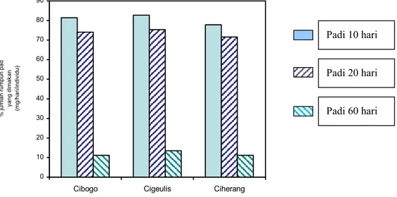 Gambar 1. Preferensi makan oleh keong mas menurut variasi kultivar dan umur tanaman padi.