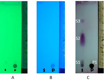 Gambar 4. Profil KLT infusa daun M. tanarius, L. dengan pembanding terpineol. (A) Deteksi UV 254 nm