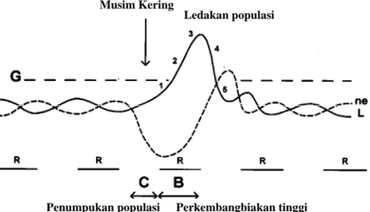 Gambar 1.  Dinamika populasi belalang kembara di Sumatera bagian selatan dan pengaruh musuh alami  terhadap pengendalian populasi (hipotetis)