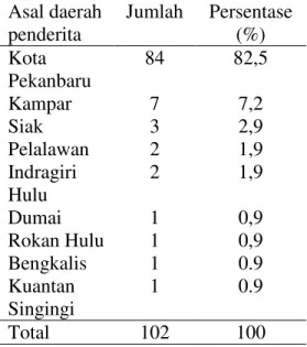 Tabel  1.    Karakteristik  penderita  TB  paru  relaps  berdasarkan  asal  daerah penderita  Asal daerah  penderita  Jumlah  Persentase (%)  Kota  Pekanbaru  84  82,5  Kampar  7  7,2  Siak  3  2,9  Pelalawan  2  1,9  Indragiri  Hulu  2  1,9  Dumai  1  0,9