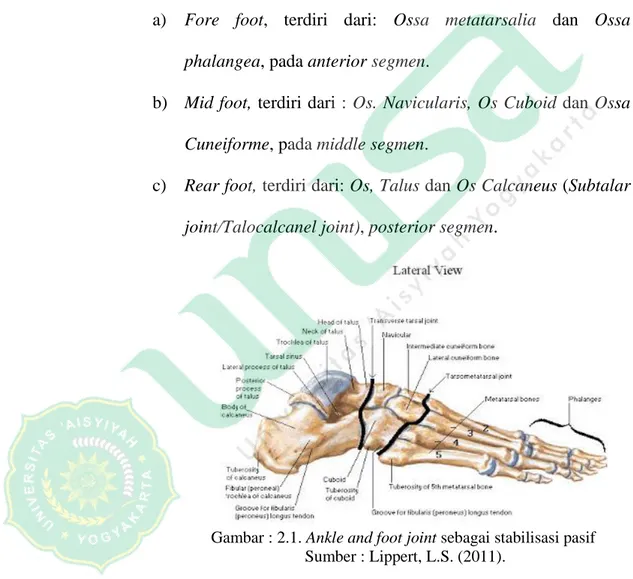 Gambar : 2.1. Ankle and foot joint sebagai stabilisasi pasif   Sumber : Lippert, L.S. (2011)