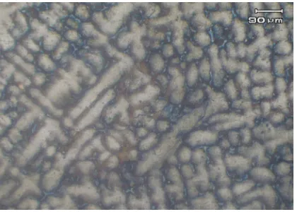 Fig            after normalization treatment at 600 4. Optical micrograph of normalized new austenitic sample,  oC for 6 h