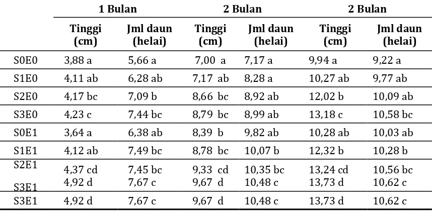 Tabel 3. Pengaruh interaksi dari konsentrasi sitokinin dan EM4 terhadap panjang dan  jumlah akar bibit kran-gean (Litsea cubeba (Lour.) Pers)