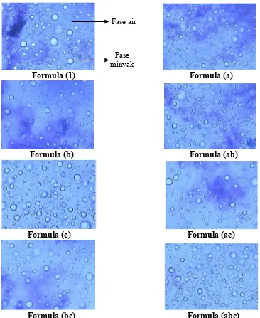Gambar 4. Hasil pengamatan tipe emulsi tiap formula dengan metode warna,  perbesaran 40 x 10 kali  