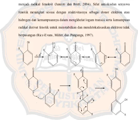 Gambar 2.   Reaksi pembentukan dan penggabungan radikal fenoksil     (Bruneton, 1999) 
