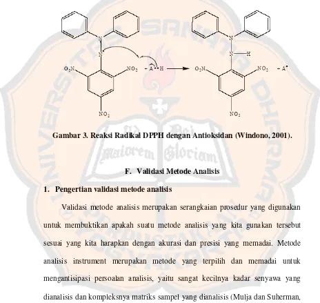 Gambar 3. Reaksi Radikal DPPH dengan Antioksidan (Windono, 2001). 