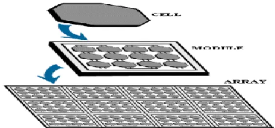 Gambar 2.5 Cell surya, module surya dan array 