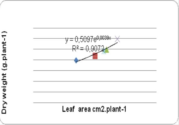 Figure 1. Relationship between The Leaf Area and Dry Weight of The Plant on Oldenlandia corymbosa
