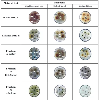 Figure 1. Antimicrobial activity of M. jalapa extract and fraction