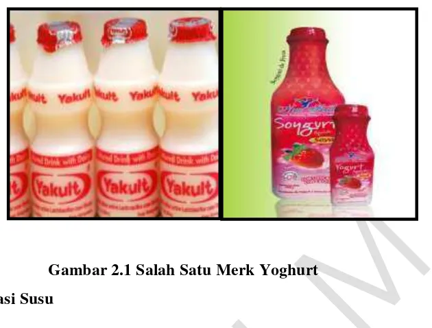 Gambar 2.1 Salah Satu Merk Yoghurt 