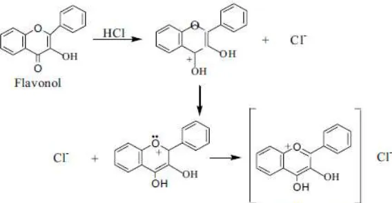 Figure 5. Hypothetic reaction during Kedde test  