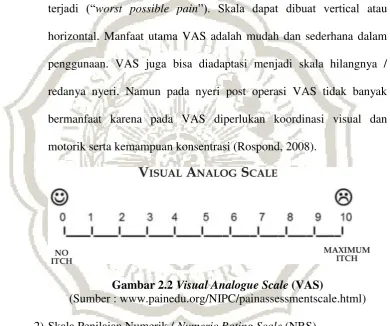Gambar 2.2 Visual Analogue Scale (VAS) 