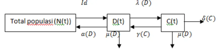 Gambar 4.1. Diagram transfer model populasi kelangsungan hidup DM  