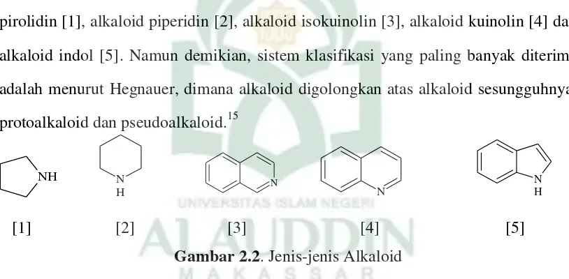 Gambar 2.2. Jenis-jenis Alkaloid 
