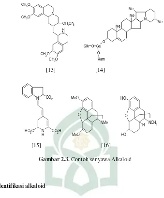 Gambar 2.3. Contoh senyawa Alkaloid 