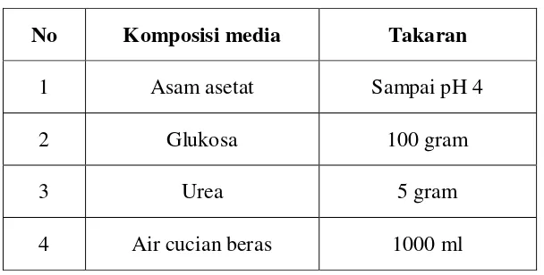 Tabel 5. Komposisi media starter nata de rice 