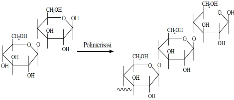 Gambar 6. Reaksi Polimerisasi terbentuknya selulosa 