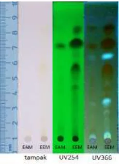 Tabel 1. Karakterisasi kandungan senyawa EEM dan EAM dengan kromatografi lapis tipis  