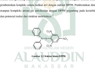 Gambar 2.2 Stuktur kimia DPPH. 