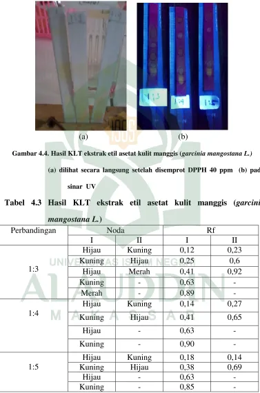 Tabel 4.3 Hasil KLT ekstrak etil asetat kulit manggis (garcinia 