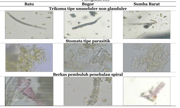 Tabel  2.  Rangkuman  Hasil  Pengamatan  Mikroskopis  Daun  Ekor  Kucing  (Acalypha  hispida Burm F.) 
