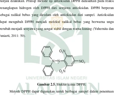Gambar 2.5. Stuktur kimia DPPH. 