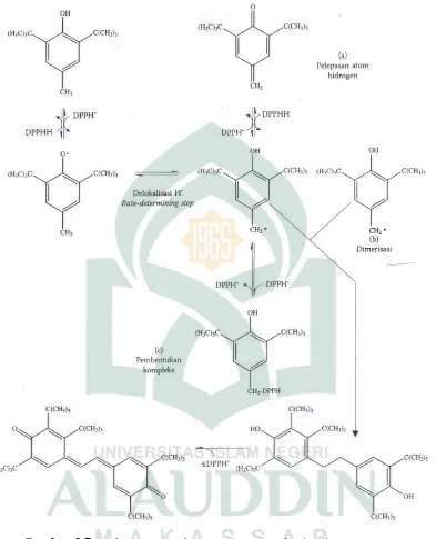 Gambar 2.7. Mekanisme Reaksi Senyawa Antioksidan dengan DPPH 