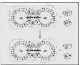 Gambar IV.3. Mekanisme biosorbsi Pb pada dinding sel bakteri