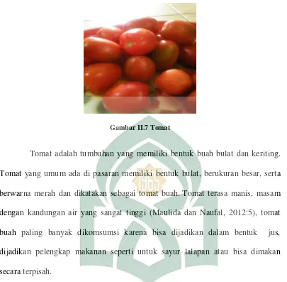 Gambar II.7 Tomat 