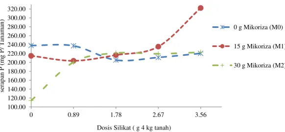 Grafik  hubungan  interaksi  antara  silikat  dengan  mikoriza  terhadap  berat  kering  tajuk  tanaman  disajikan pada Gambar 4