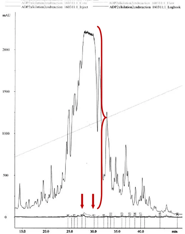 Figure 2. Example preparative HPLC chromatogram for ADP2(AM) peak showing fractions expected to contain pure targeted peptide, in this case fractions 5 - 7; X axes – time in minutes, Y axes – absorbance in mAU (milli absorbance units).