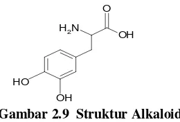 Gambar 2.9  Struktur Alkaloid 