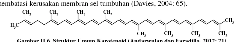 Gambar II.5. Struktur Umum Klorofil (Andarwulan dan Faradilla, 2012: 59) 