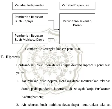 Gambar 2.2 kerangka konsep penelitian 