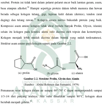 Gambar 2.2. Struktur Prolin, Glysin dan Alanin 